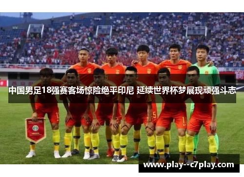 中国男足18强赛客场惊险绝平印尼 延续世界杯梦展现顽强斗志 中国男足18强赛客场惊险绝平印尼 延续世界杯梦展现顽强斗志